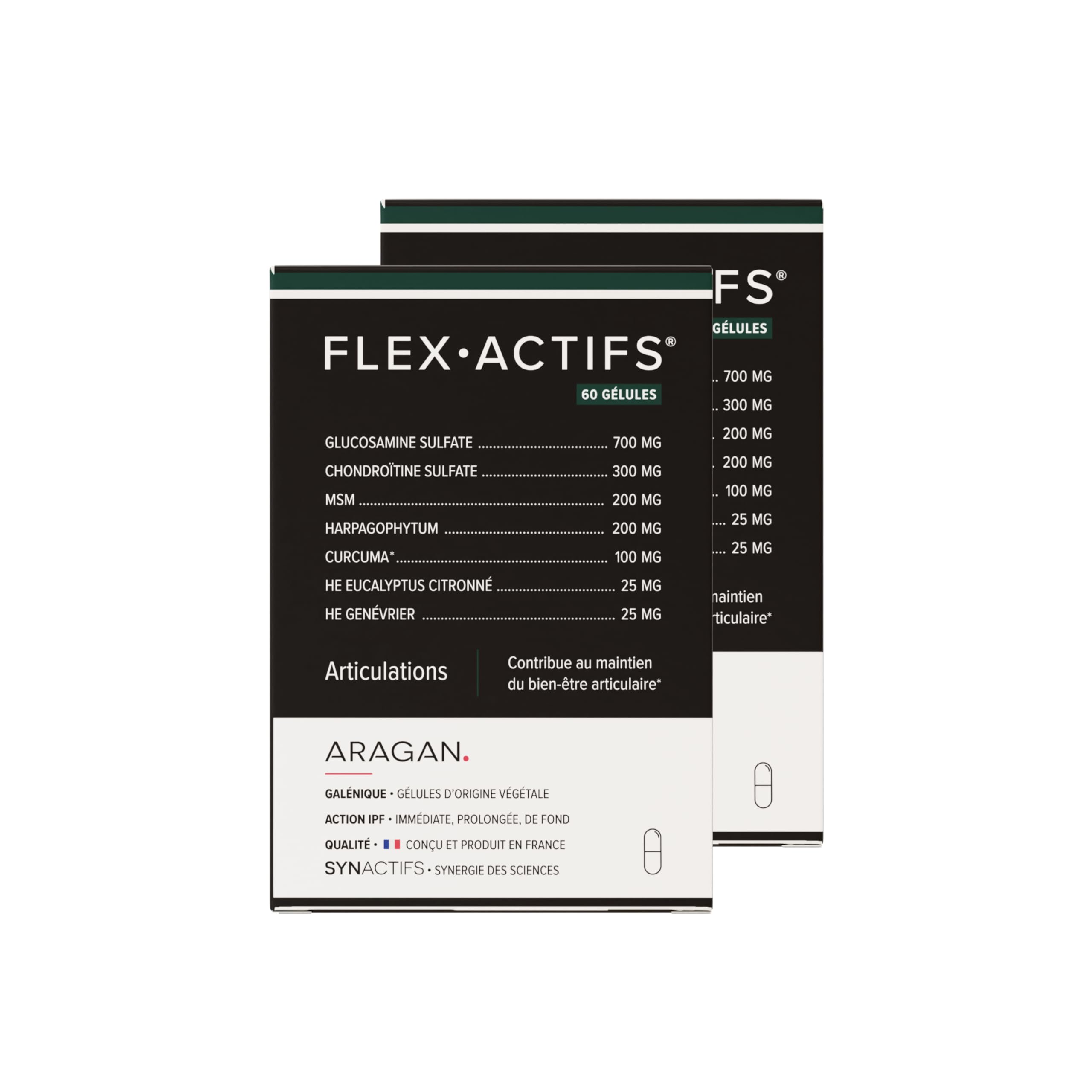 ARAGAN | Synactifs Lot de 2 Flexactifs | Complément Alimentaire Bien-Etre Articulaire | Glucosamine, Harpagophytum, Curcuma, Eucalyptus et Zinc | 120 gélules | 2 mois prise | Fabriqué en France
