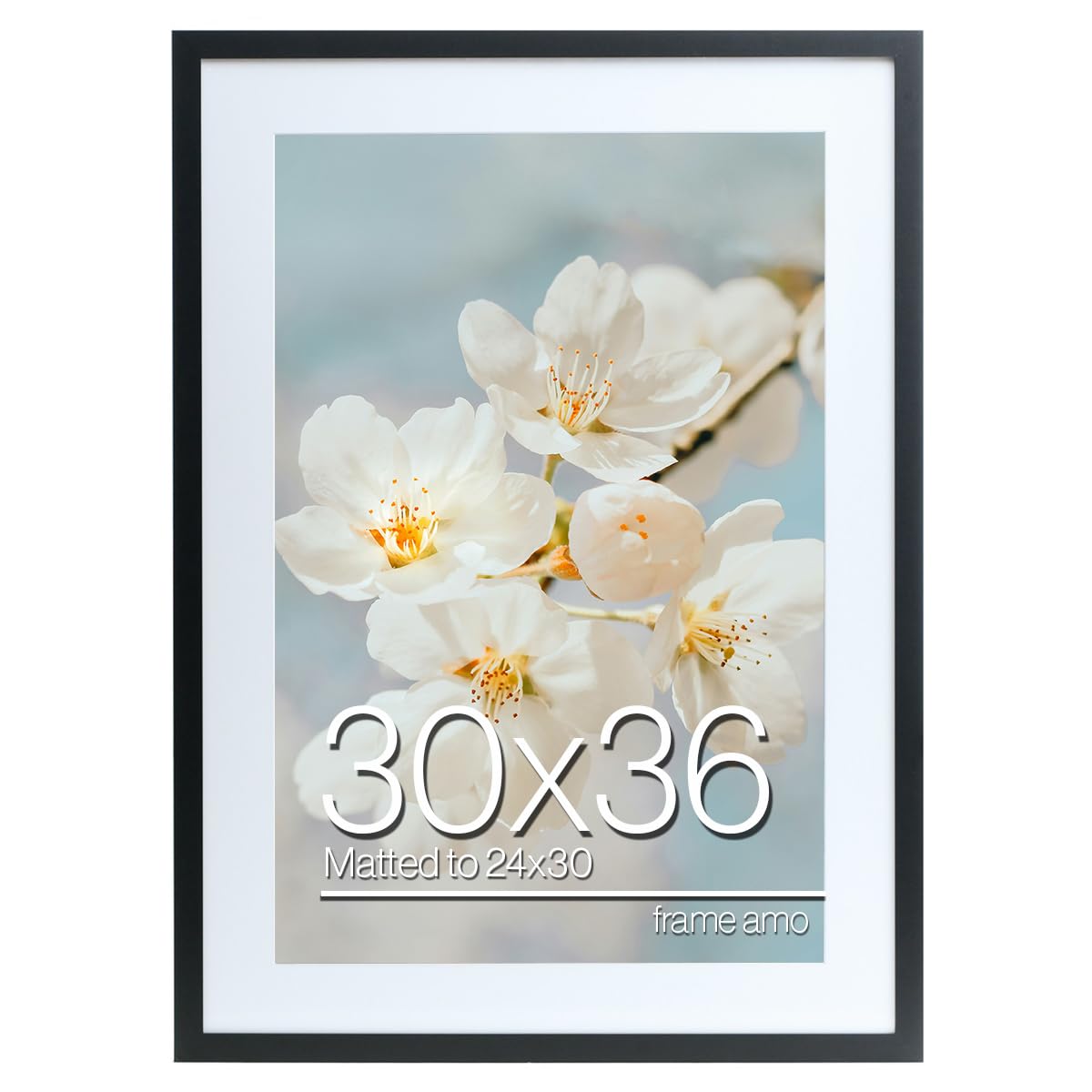 AMO ページ Amazon.com - Frame Amo 30x36 Black Poster Frame with 23.5x29.5