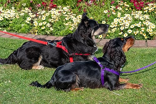 Gencon Walk-Through-Geschirr, XL, Schwarz