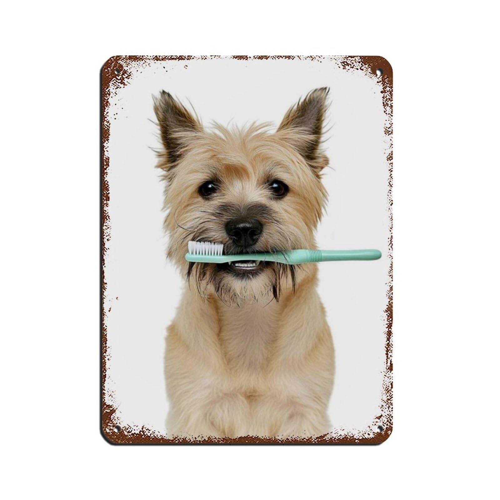 Cairn Terrier Dog Bathroom Art Brushing Teeth Retro Poster Metal Tin Sign Chic Art Retro Iron Painting Bar People Cave Cafe Family Garage Poster Wall Decoration 12x16inch(30x40cm)