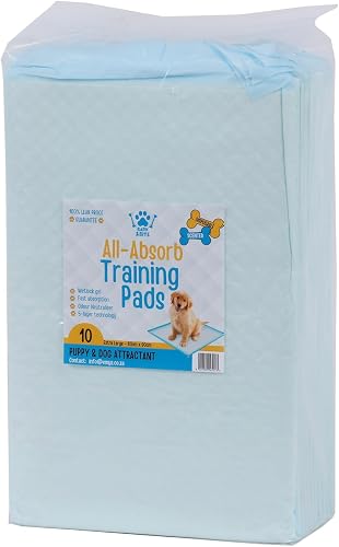 Dog & Puppy Training Pads, Heavy Duty Absorbency with Attractant (10, X-Large)