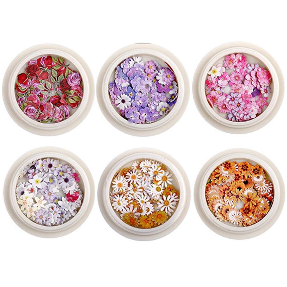 6 Pcs Nail Flower Set Mini Natural Real Dried Flower Decal Nail Decoration Stickers