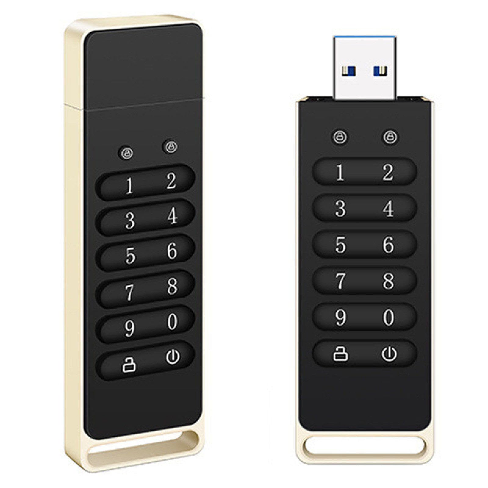 unità USB Crittografata, unità Flash Sicura, unità Flash USB 3.0 con Crittografia Hardware, Dispositivo di Archiviazione Dati Crittografato, Compatibile con Mac/Windows/Linux Black-256GB