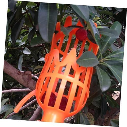 Miniatura 4 de Yardwe 2 Unidades Recolectores de frutas Herramienta de níspero Jardín Cosechadoras de Frutas Herramienta de Granja para Fácil Seguro Fruta 2 unids*2