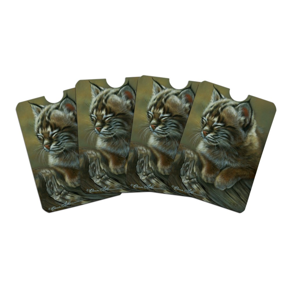 Baby Young Bobcat Kitten Credit Card Rfid Blocker Sleeves Set | Desertcart  Papua New Guinea