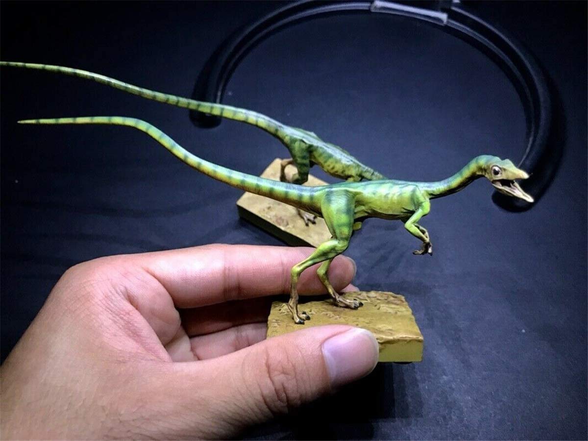 Amazon.co.jp: Dino Dream 1/5 サイズ 2点セット オスの 