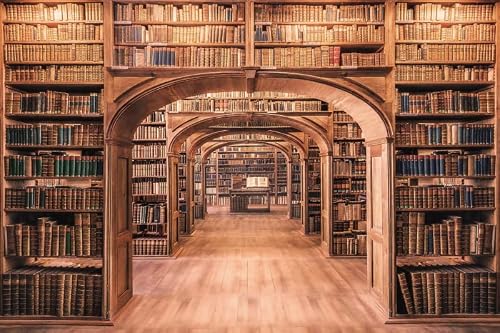 Library Bookshelf Backdrop College Library Ancient Books Archway Photography Bac