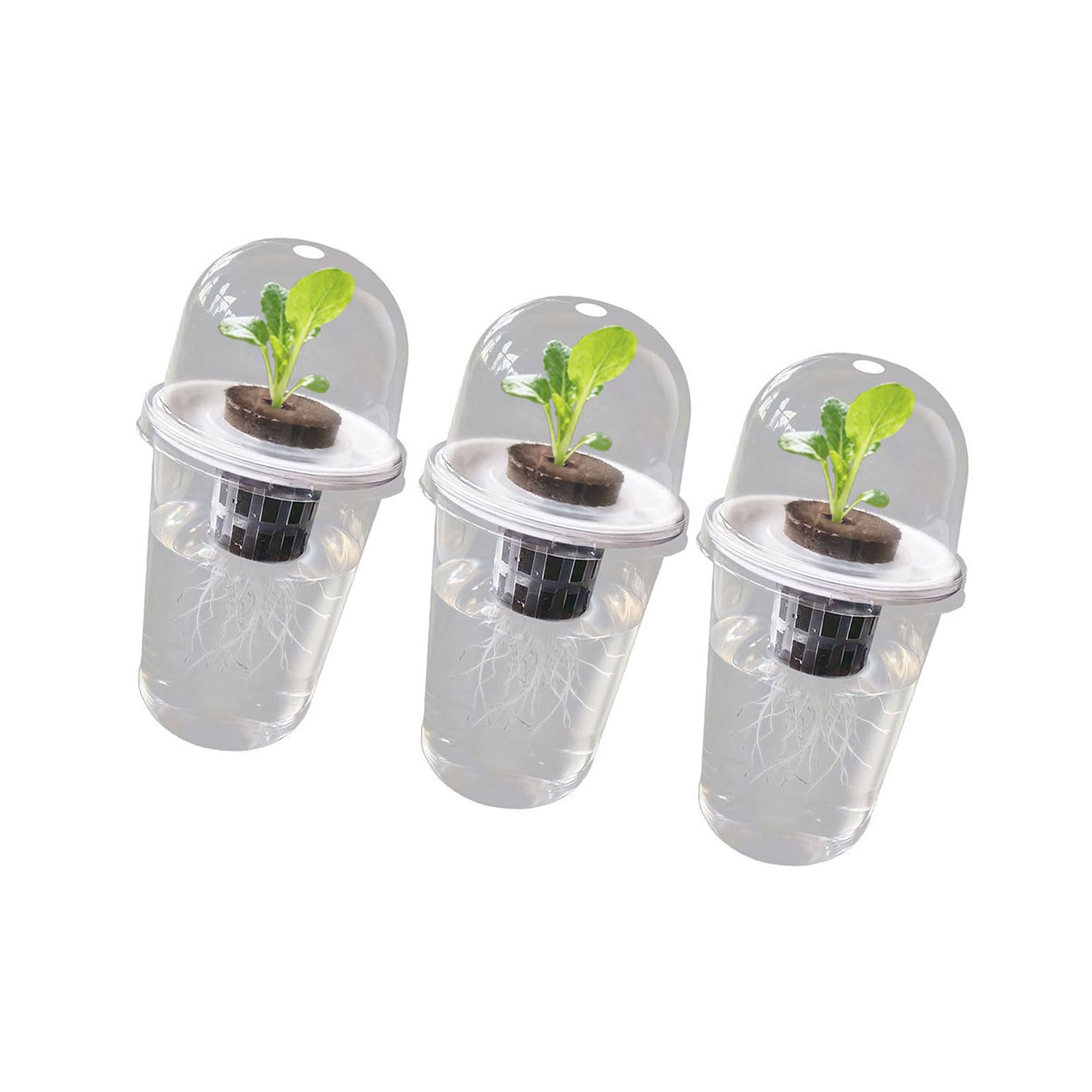 Shurhome Hydroponics Growing Planting Container Hydroponics Supplies Plant Container for Vegetable Beet Kitchen Accessories Transparency Hydroponic Seedling Starter Aerating Cylinder Planter