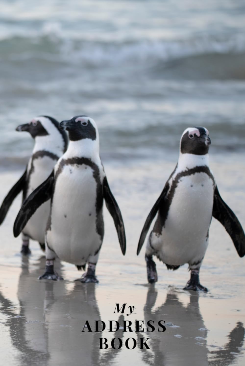 My Address Book: Penguin | Address Book for Names, Addresses, Phone Numbers, E-mails and Birthdays