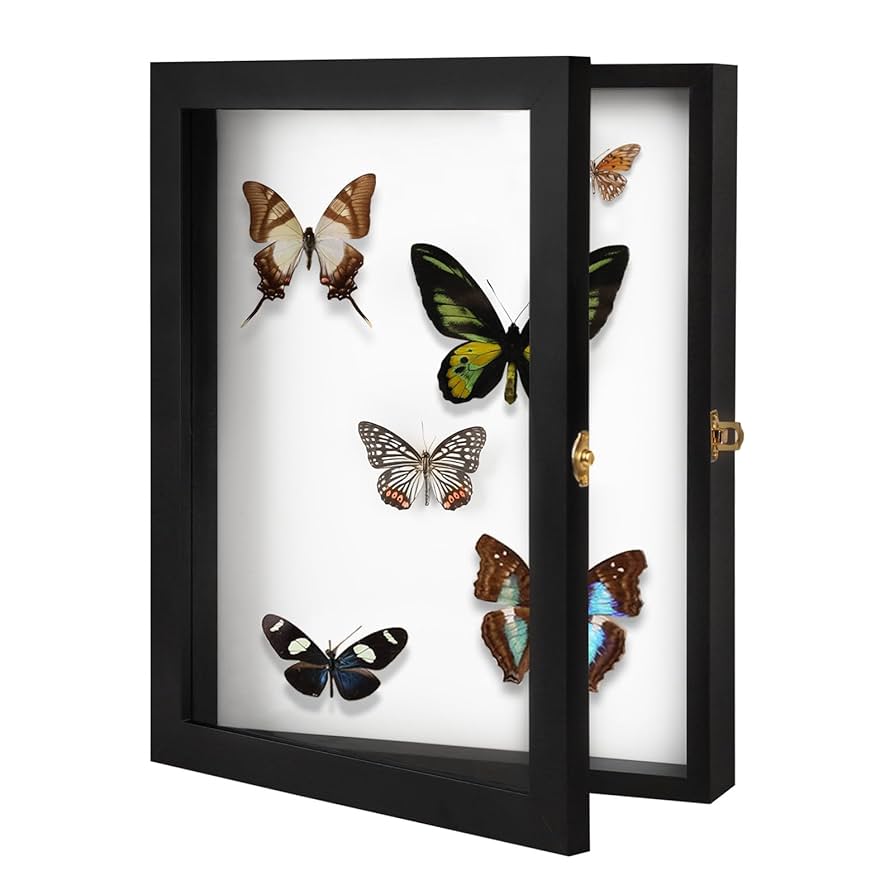 アディ様CLASSIC OF WINDOWS BUTTERFLY MESHCAP アディ様CLASSIC OF WINDOWS BUTTERFLY MESHCAP