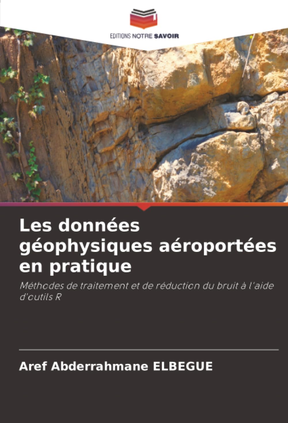Les données géophysiques aéroportées en pratique: Méthodes de traitement et de réduction du bruit à l'aide d'outils R
