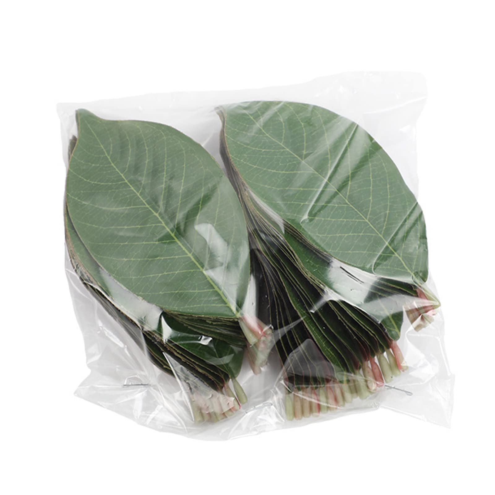 Jazuaiao Fake Leaves Artificial Simulation Silk for Wedding Bouquet Flower Decoration Peony Rose Hydrangea Magnolia Leaves Artificial