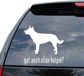 GOT Australian KELPIE Dog PET Decal Sticker Car Truck Motorcycle Window Bumper Laptop Wall Decor - Size (07 inch / 18 cm Wide) - Color (Gloss White)