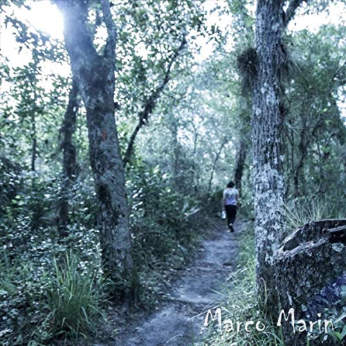 Marco Marin