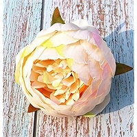 フェイスカラー peony Zi Die Ying Feng' '紫蝶迎风' Paeonia rockii peony - LY