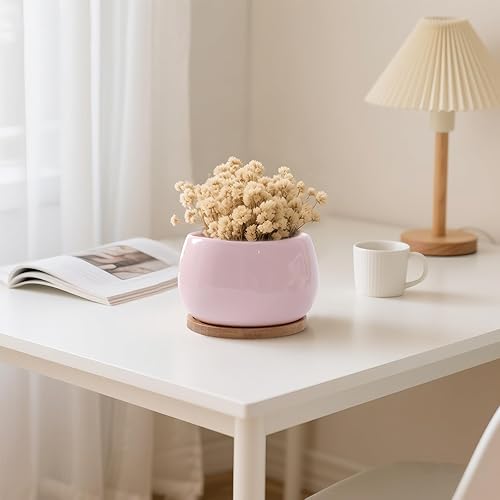 Vista 11 de Jusalpha Maceta grande de cerámica de 5 pulgadas con orificio de drenaje y platillo de bambú para plantas de interior, maceta 07 (azul)