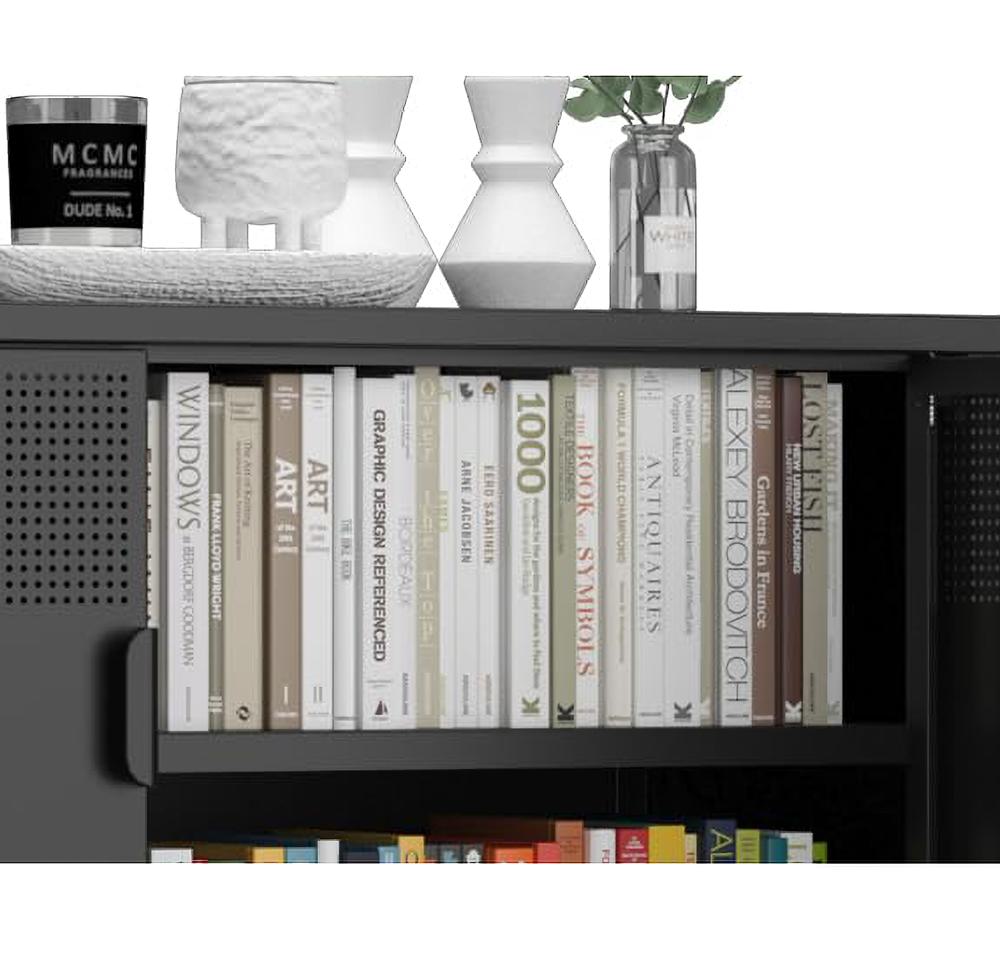 Amazon.com: XIUSVON Metal Storage Cabinet,2 Door TV Stand, Metal