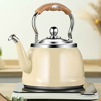 61mU8lt52eL._AC_UF350,