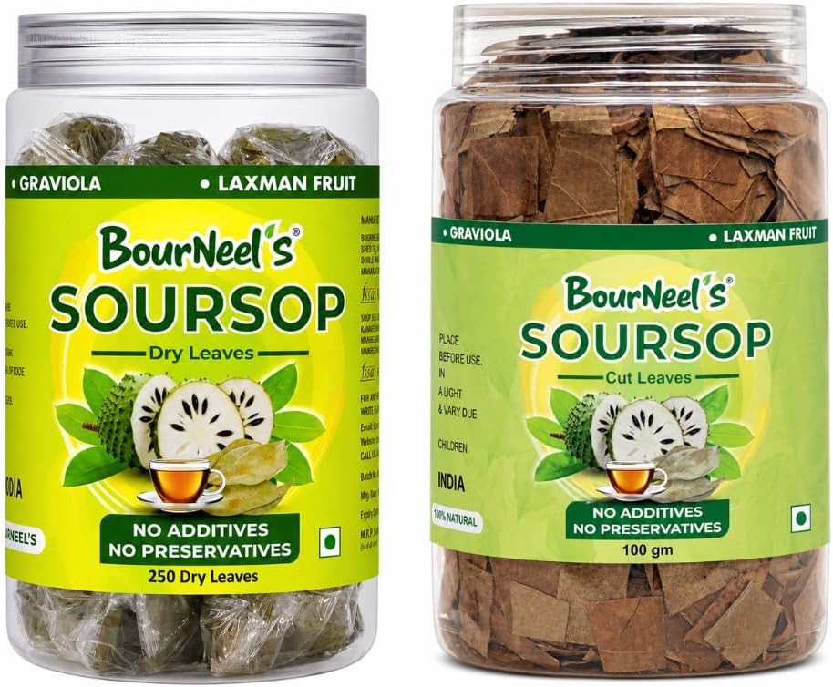 Soursop Dry leaves 250 leavs + SoursopCut Leaves 100 gm (Soursop Tea) Natural Leaves | No Preservatives | Healthy Graviola Laxman Phal Dry Leaves | High Vitamin C | SoursopKadha Tea |