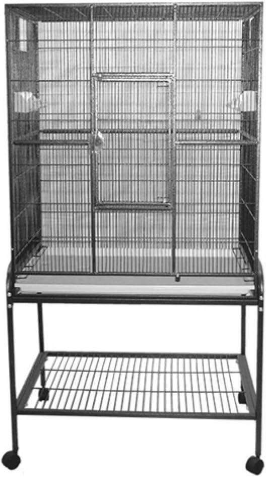 Bird Cage Color: Blue