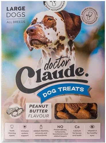 Peanut Butter Flavour Dog Treats Biscuits 1 Kg, Large