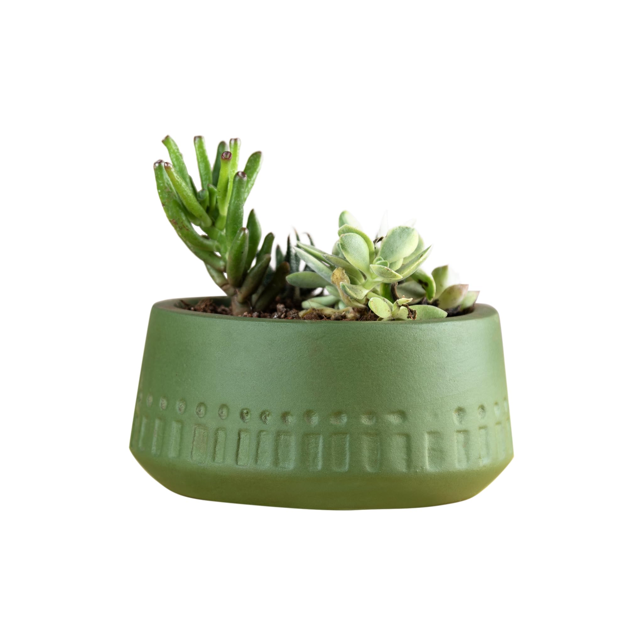 Artmansha Olive Terracotta Planter| Indoor Pot | Planter Pot Size 5.5 x 3.1 inch| Perfect planters for Living Room| planters for Indoor Plants| Table top Decor (B0CNY3JH31) Amazon Price History, Amazon Price Tracker