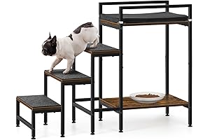Pet Window Perch with Stairs: Enhanced View for Your furry Friend