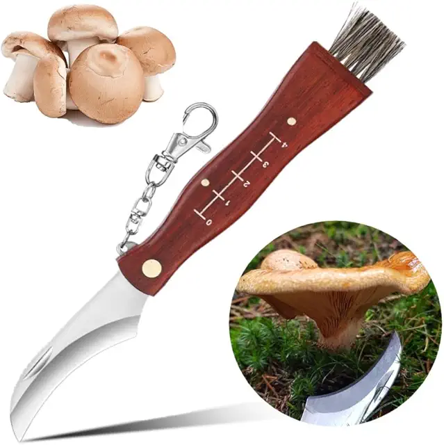BUKCYUE Folding Mushroom Knife with Brush, Scale & Keychain - Premium Wooden Handle