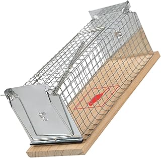 CRILSTYLEO Ratoeiras Ferramentas De Mouse Para Controle De Ratos Armadilhas Para Ratos Ratos Velhos Ratos Para Casa Gaiola Segura Para Ratos Ferramenta De Controle De Ratos Gaiola Para Ratos