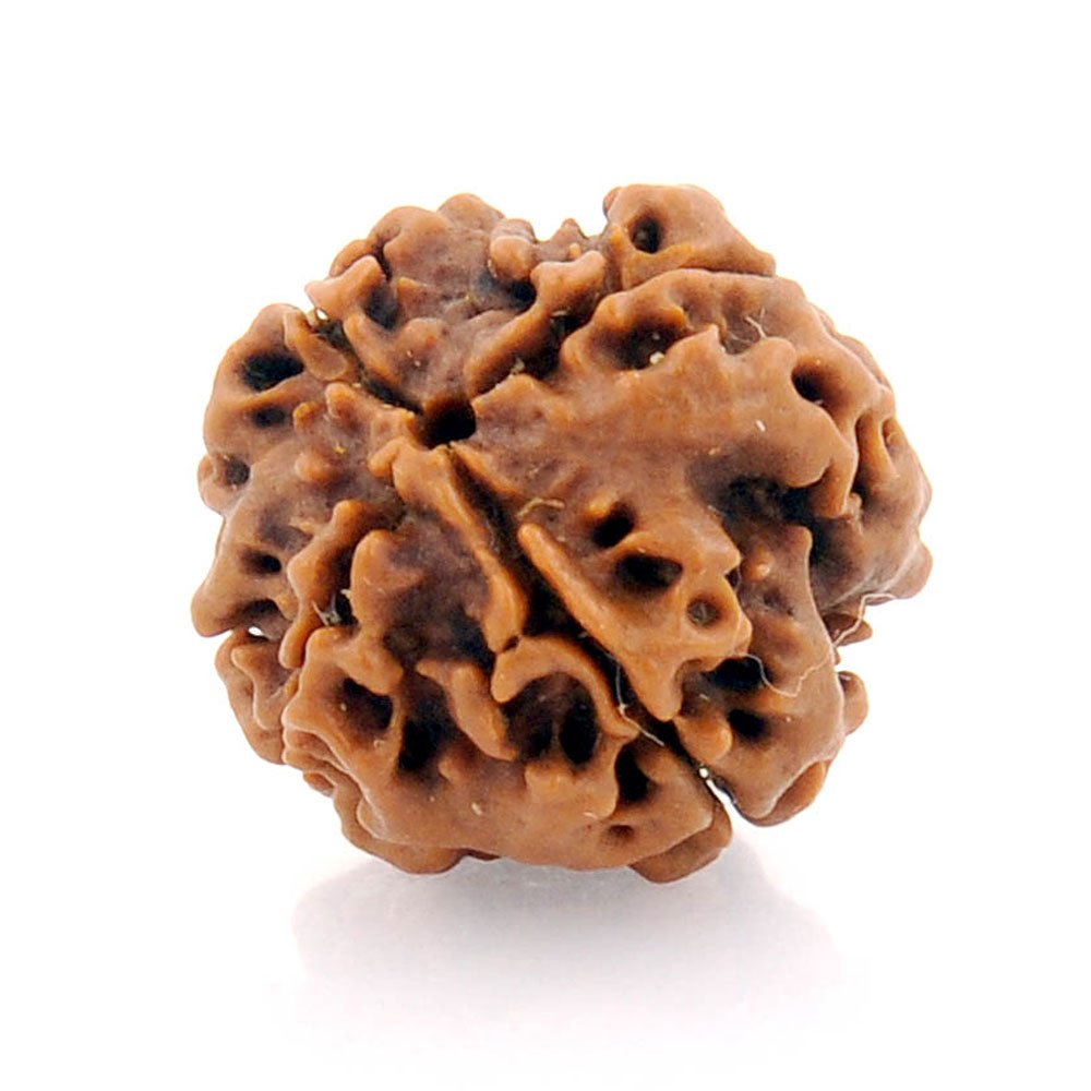 Caratyogi Choose Your Natural Certified Nepali Rudraksha 1, 2, 3, 4, 5, 6, 7, 8, 9, 10, 11, 12, 13 Mukhi Rudraksh Ganesh Mukhi Rudraksh Gauri Shankar Gold Plated Pendant for Men Women