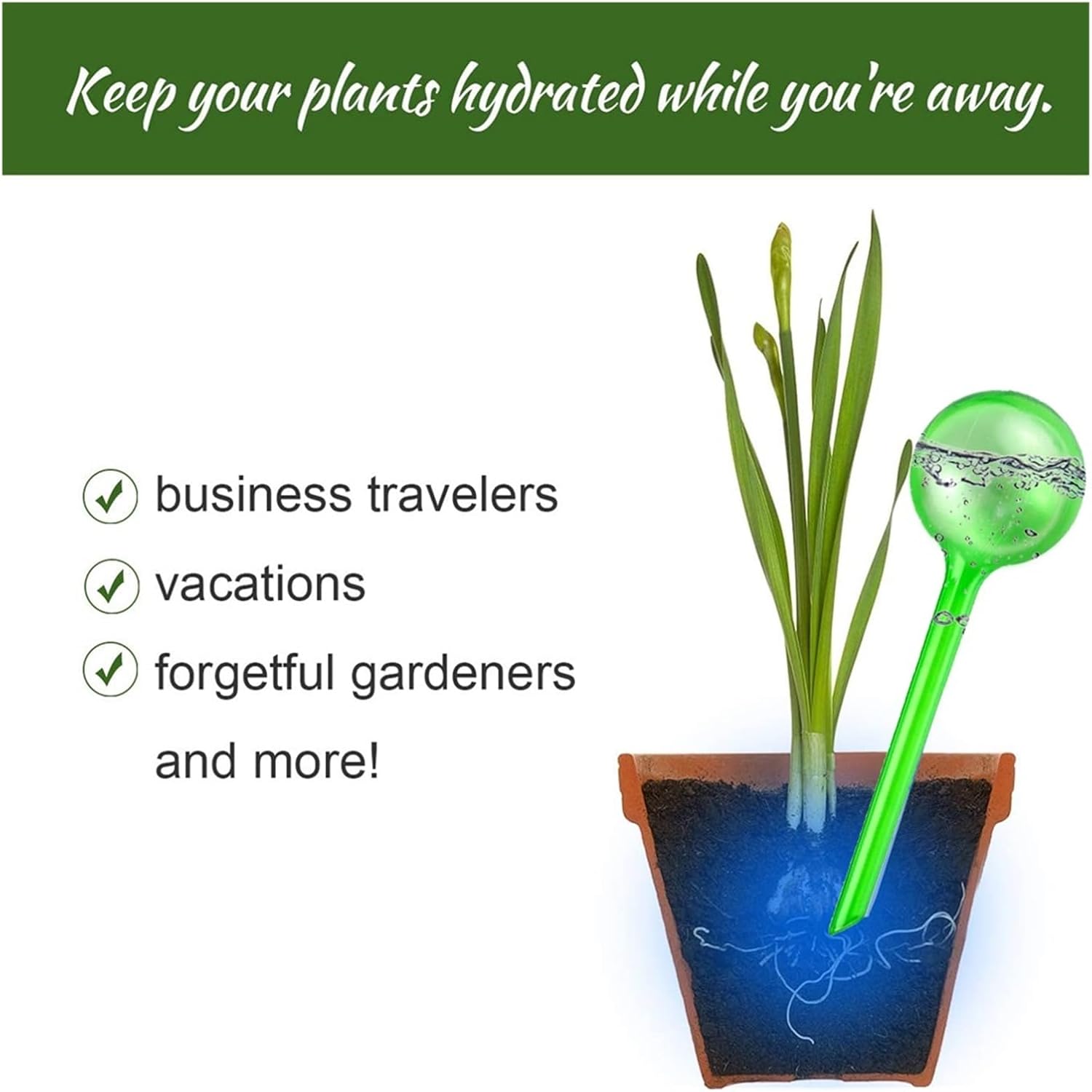 Automatic Plant Watering Bulbs House Garden Water Can Spike Flower Houseplant Device Drip Irrigation System(10 PCS L Set D)