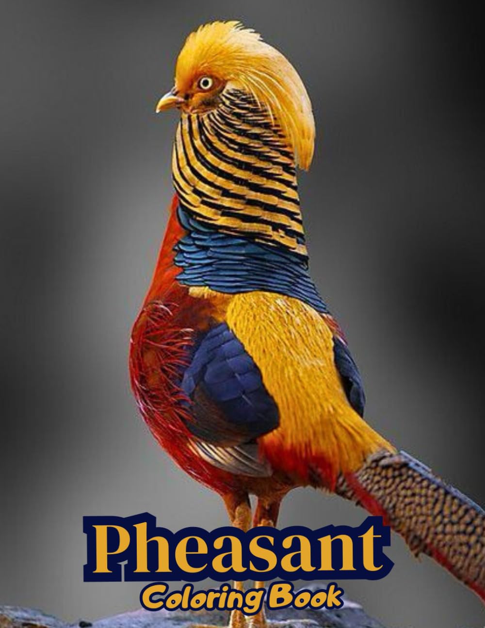 Pheasant Coloring Book: Beautiful Bird Designs & Detailed Patterns for Nature Lovers (BIRDS COLORING BOOKS)