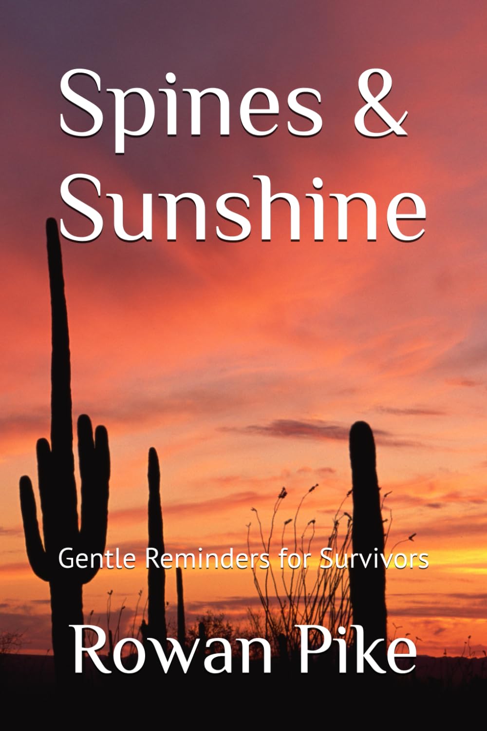 Spines & Sunshine: A Healing Quote Book for Survivors of Trauma, Abuse, and PTSD