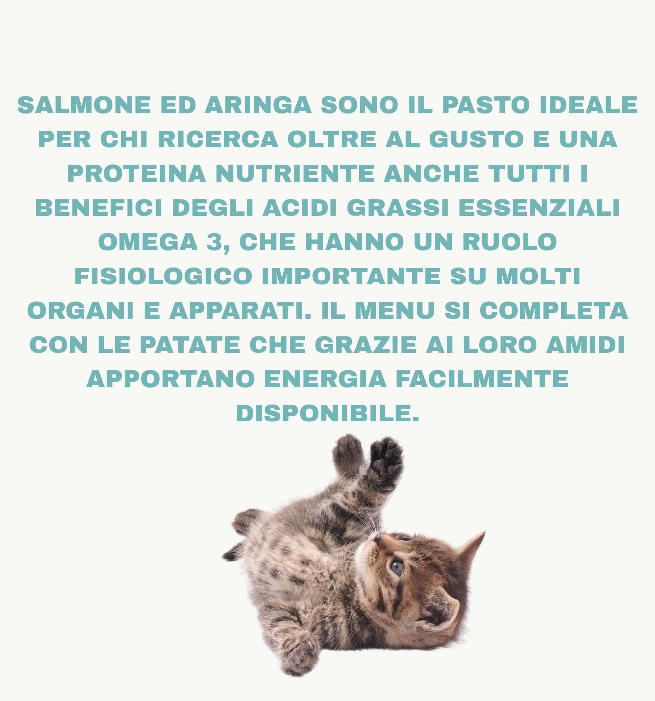 Natural Code húmedo para gatos adultos, sabor salmón y arenque, número C09, suaves sacapuntas en agua de cocción para gatos adultos de todas las tallas, altamente digerible | 12 sobres de 70 gramos