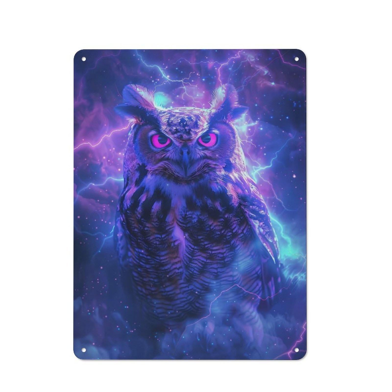 Junmoney Owl Bird Space Retro Metal Plaque 40X30cm For Bar Or Restaurant, Suited To Restaurant Interior Fans