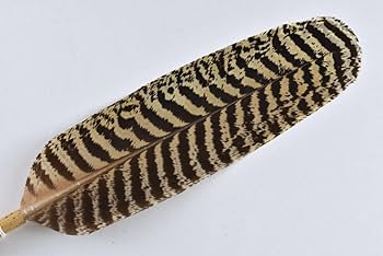 羽箒 孔雀？ 風炉用 茶道具 茶道具 羽箒3個おまとめ 通販販売【茶道具】 羽箒 風炉用 孔雀 *向切