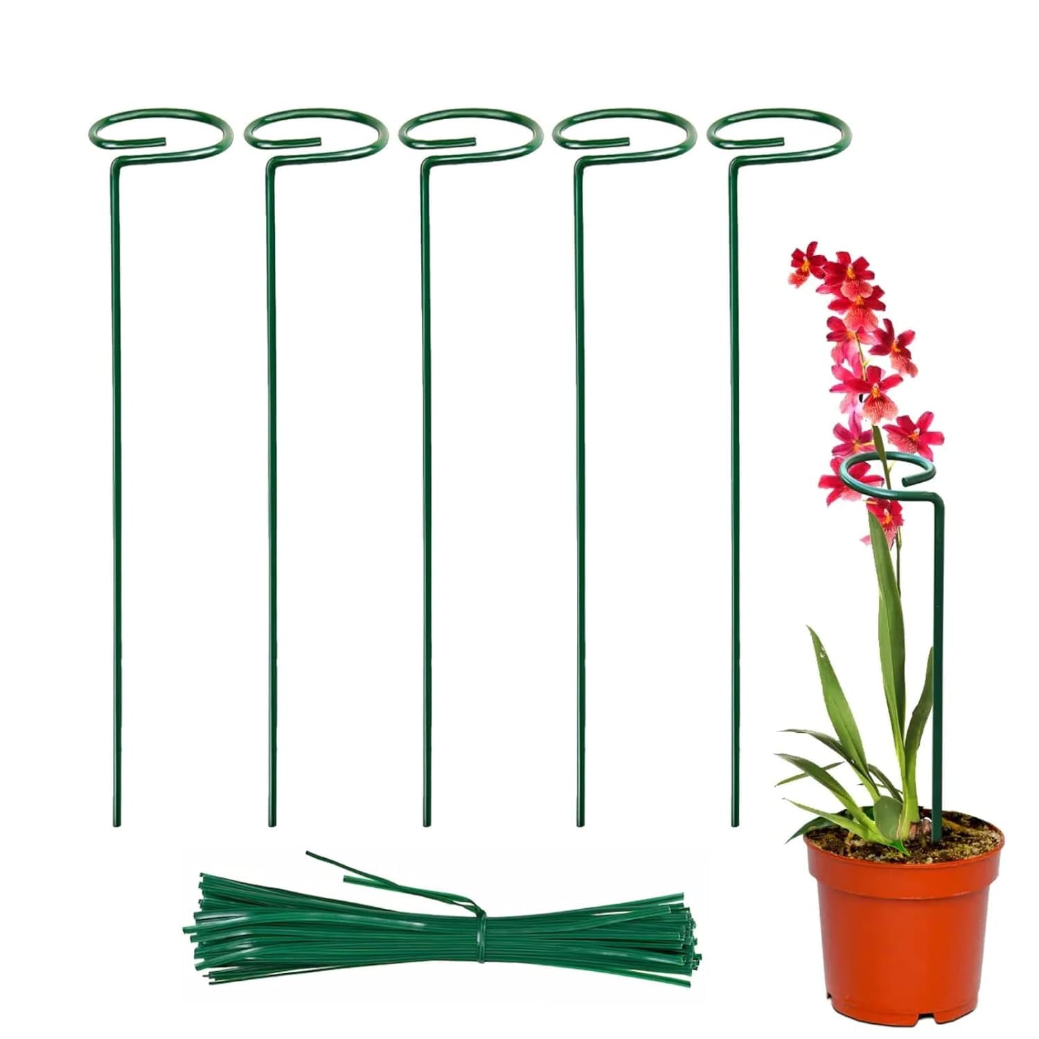 18 Inches Premium Plant Support Stakes, Sturdy Metal Construction for Strong and Healthy Plant Growth (Light Green - 5 pcs)-image-8