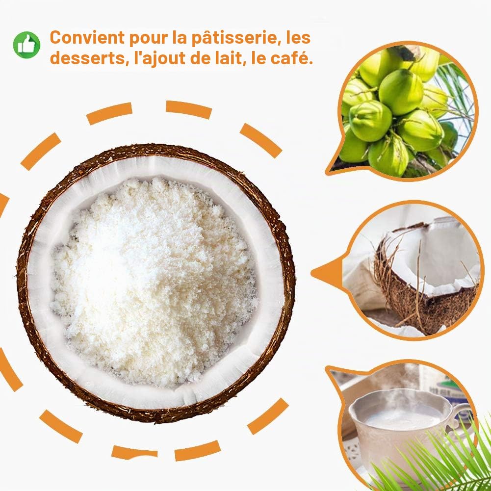 Plant Gift 100% Pur Poudre de Noix de Coco 椰子粉, Pour Boissons 100g/3.25oz | Naturel. Sans additifs. Mouture fine, arôme de noix de coco. Pour smoothies et pâtisserie. Also: Coconut Powder.