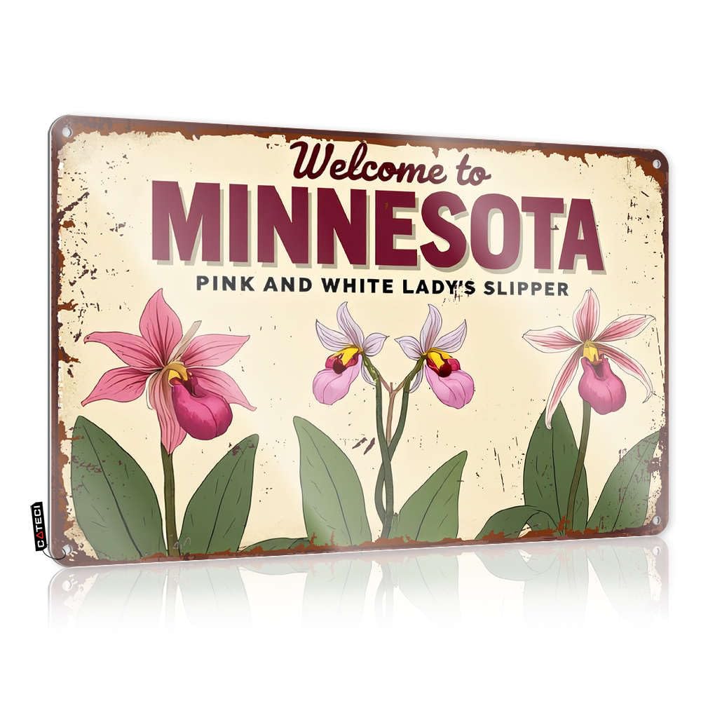 Sujd Men's Colour Cowboy Decor Table Tin Plate Sign Room Rules Metal Pre-Drilled Art/Home For Welcome To Minnesota, Of The Pink And White Lady's Slipper - Western Bathroom