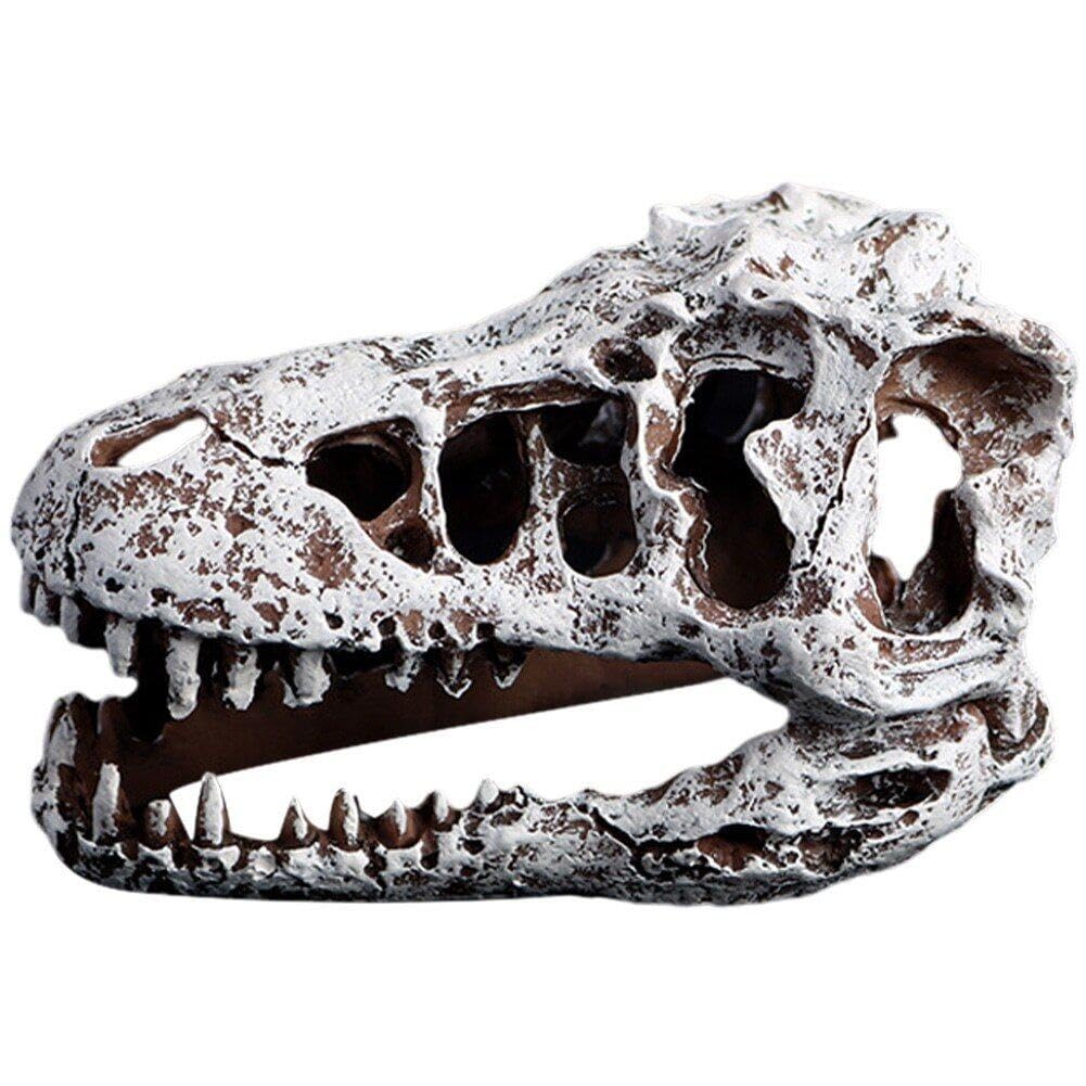 Danlai Style2 Aquarium Ornament Simulation Dinosaur Skull Craft For Fish Tank Habitat Decors Reptile Tank Hideout Decoration Aquarium Accessories