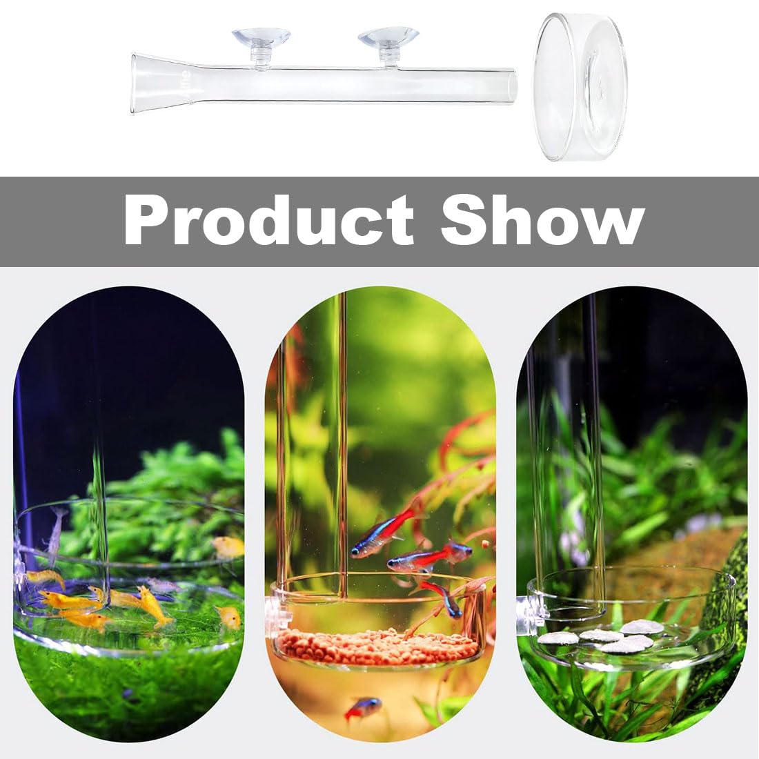 Voederschaaltje 6 cm - Aquarium Coenen