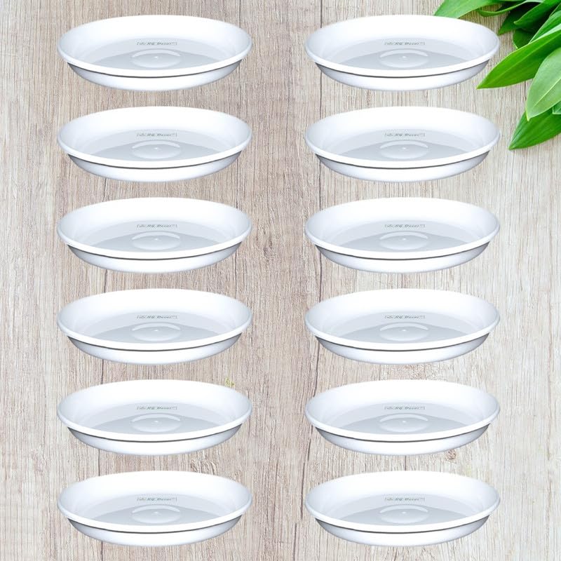 RGDECOR 6 Inches - Set of 12 - White Bottom Pot Plates for Plants - Plant Pot Tray Saucer - Flower Pot Base Plate - Plant Drip Tray - Flower Pot Tray - Bottom Plate for Pots - Planter Plate (B09JJ79PHJ) Amazon Price History, Amazon Price Tracker