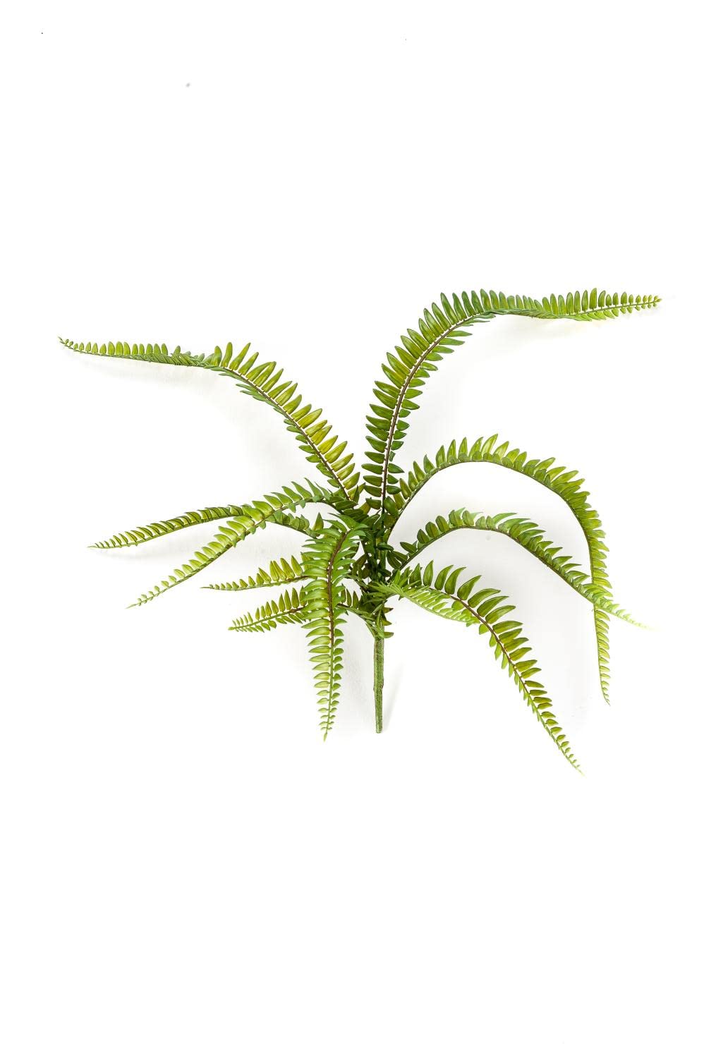 KENNET Ramo Di Felce Spada Finto, Artificiale, Verde-Giallo, Lunghezza 90 Cm, Per Decorazione Interni - 4