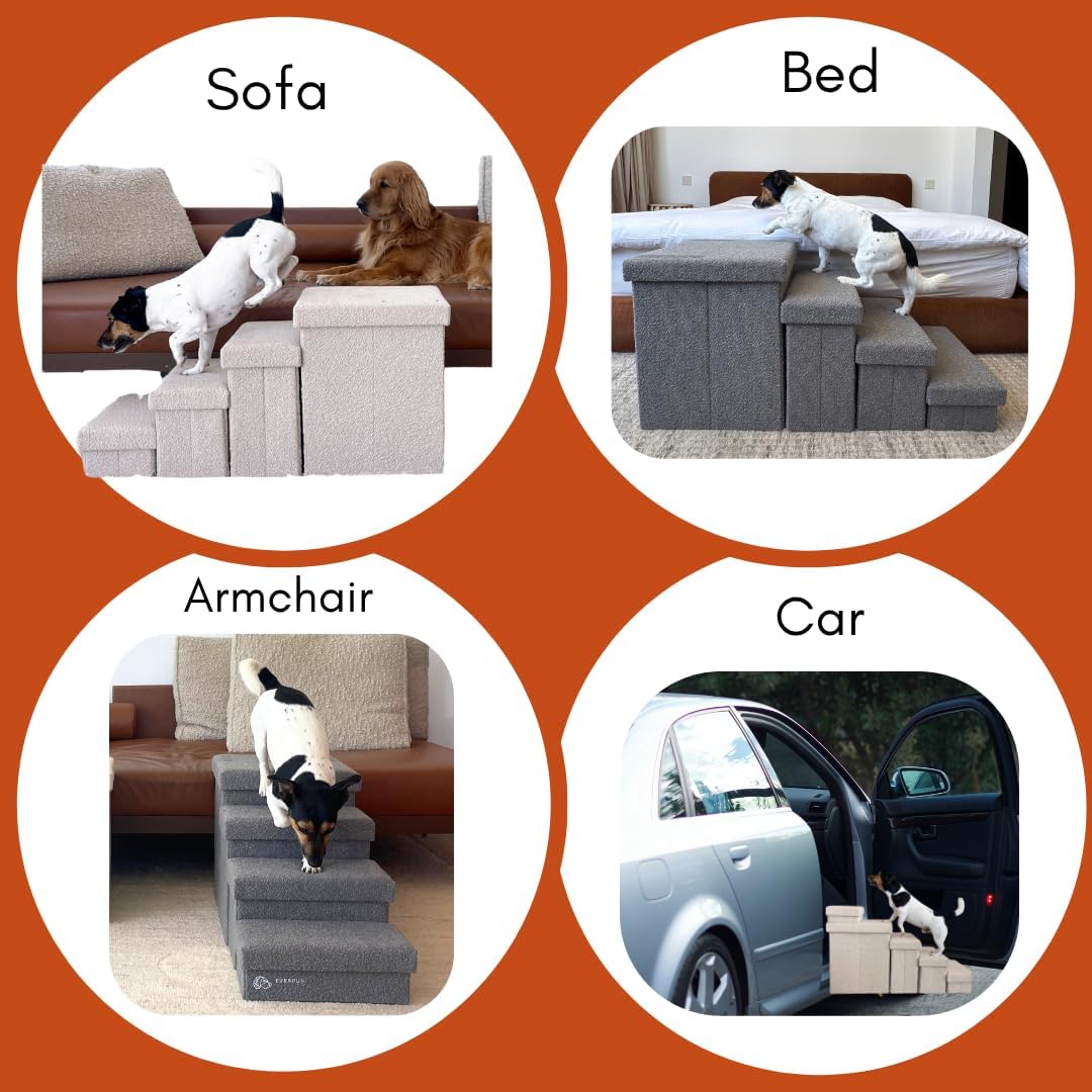 5-Step Dog Stairs for Small, Medium Dogs with Storage Box - Durable Folding Pet Steps, Padded Lid and Container; Dog Steps for Bed and Couch + Hair Brush Gift (Off White, Large, 5.0)