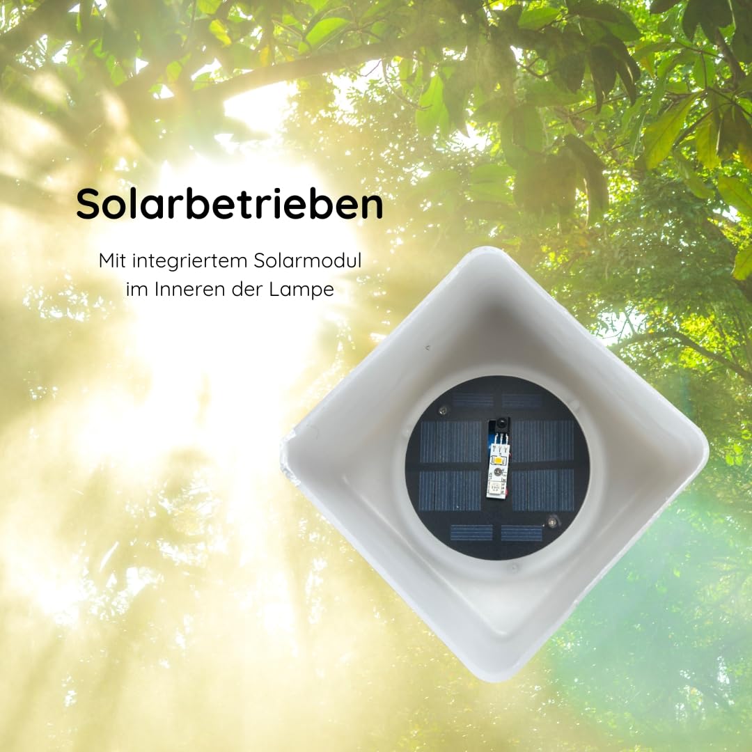RGB Lampen met Afstandsbediening