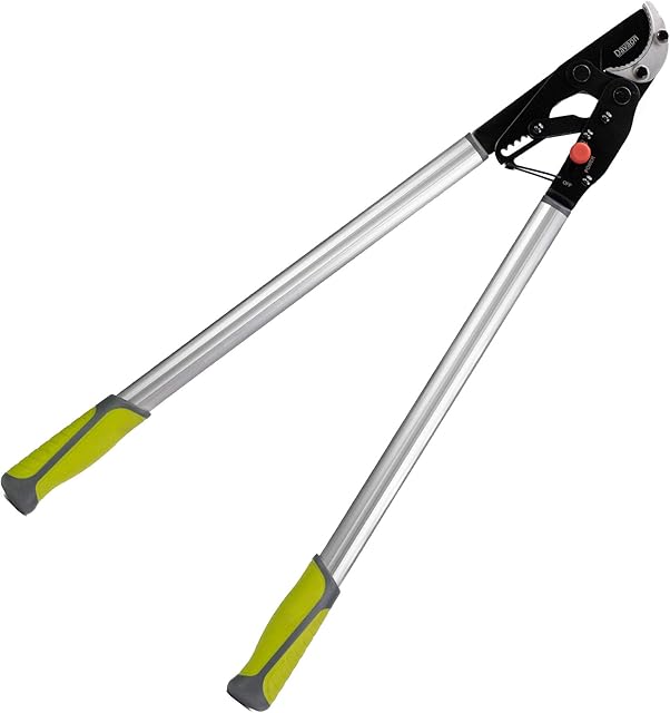 Premium 2-in-1 Ratchet Tree Loppers - for Thin & Thick Branches, Branch Cutters, Garden Loppers with Premium SK5 Steel Blades, Handles Up to 60mm Branches with Ease, Garden Tools from Davaon Pro
