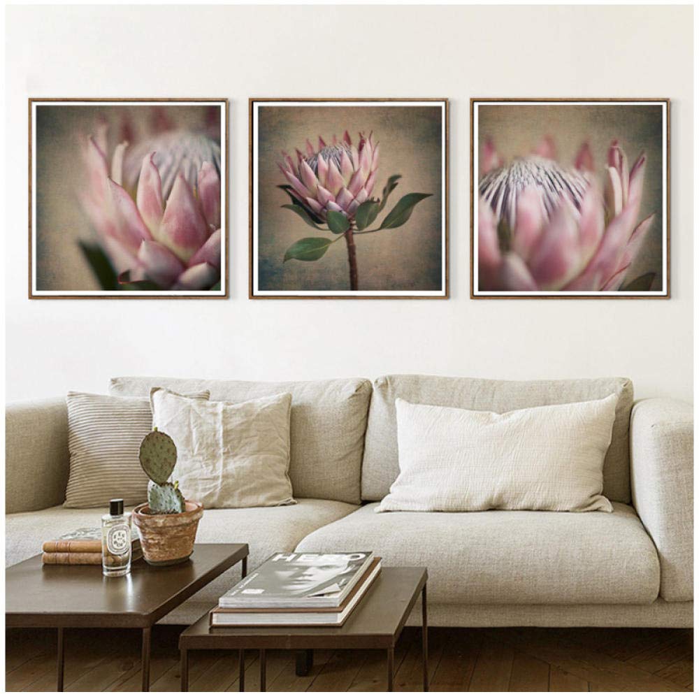 Protea Print Set Canvas Painting Nordic Flower Floral Posters and Prints Scandinavian Wall Pictures for Living Room Art Decor/50x50cmx3Pcs-No Frame