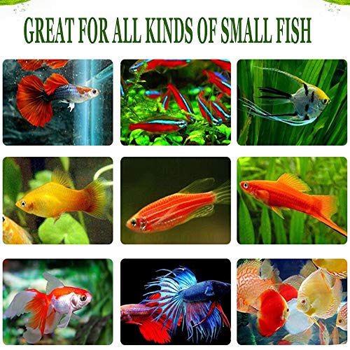 Bnyee 1.5 Oz Freeze Dried Bloodworms For Most Small To Medium Sized Fish（Larvae） #TOP2