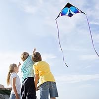 Vista 3 de HONBO Cometa Delta grande para niños y adultos, extremadamente fácil de volar para viajes a la playa, línea de cuerda incluida, con cola colorida