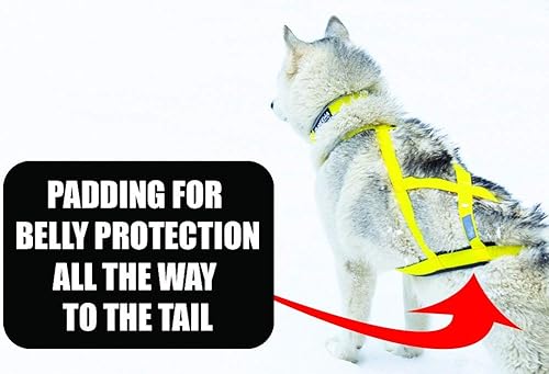 Miniatura 8 de Arnés de trineo profesional de Neewa, arnés para tirar, arnés Husky, arnés de Mushing, arnés X Back para perro ejercicio, ciclismo, esquí, trineo